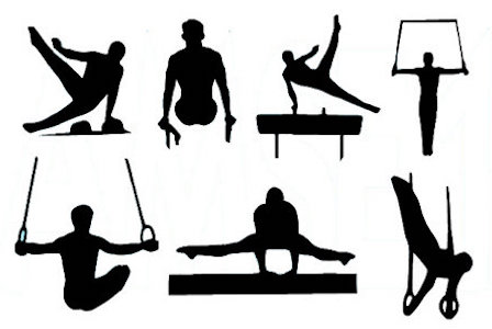 Gimnastika çempionatını da Azərbaycana “yüklədilər”