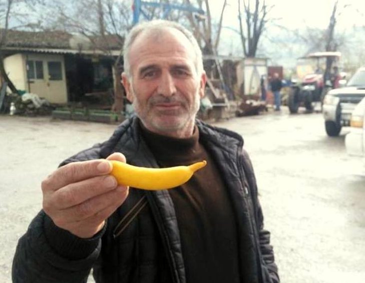 Banan deyil, limon!