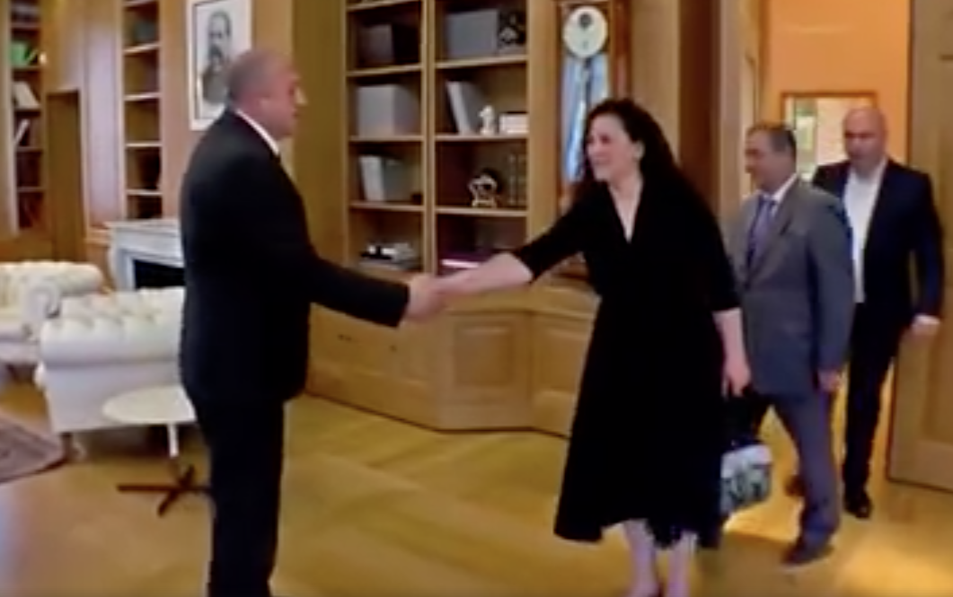Leyla Mustafayeva Gürcüstan prezidenti ilə görüşüb