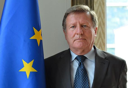 AB səfiri Muxtarlı işini gürcü jurnalistlərlə müzakirə edib