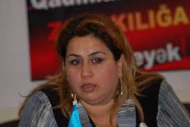 Daha bir jurnalistin işi Avropa Məhkəməsinə gedir