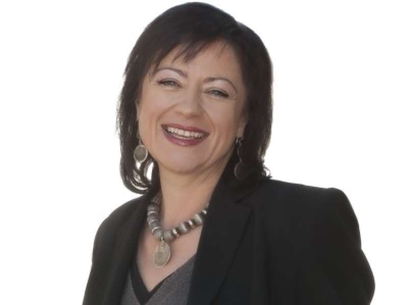 Almaniya ombudsmanı Mehman Əliyevin həbsini pisləyib