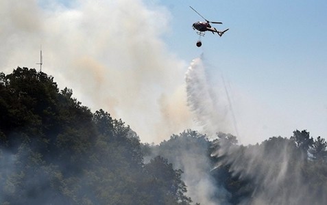 Cavid Qara: “5 min hektara qədər meşə fondu torpağı məhv edilib”